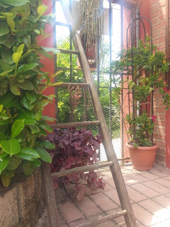 Bed and Breakfast Mosci'S Bed & Beer San Damiano dʼAsti Exterior foto